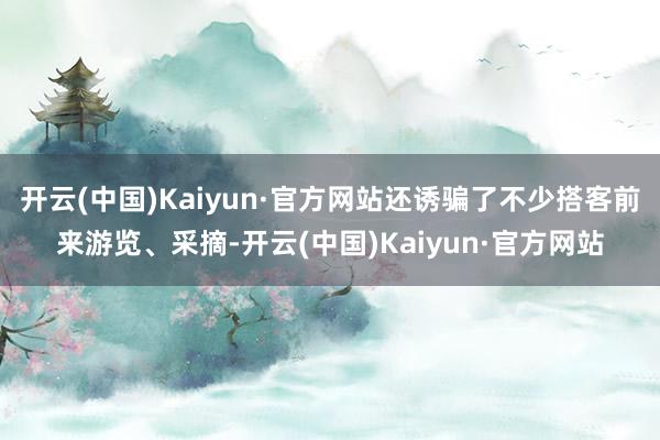 开云(中国)Kaiyun·官方网站还诱骗了不少搭客前来游览、采摘-开云(中国)Kaiyun·官方网站