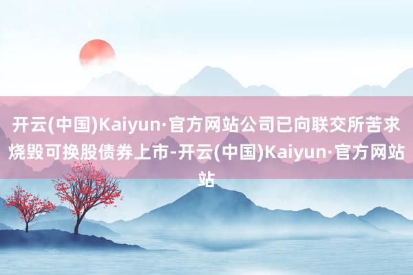 开云(中国)Kaiyun·官方网站公司已向联交所苦求烧毁可换股债券上市-开云(中国)Kaiyun·官方网站